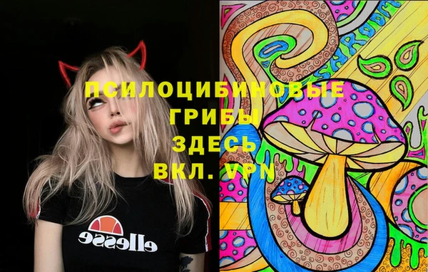 соль ск Богданович