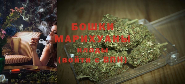соль ск Богданович