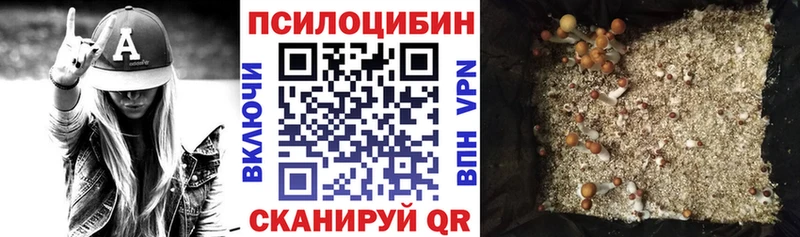 Псилоцибиновые грибы Psilocybine cubensis  даркнет Telegram  Борисоглебск 